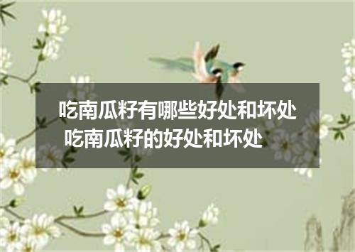 吃南瓜籽有哪些好处和坏处 吃南瓜籽的好处和坏处