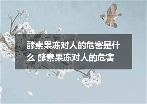 酵素果冻对人的危害是什么 酵素果冻对人的危害