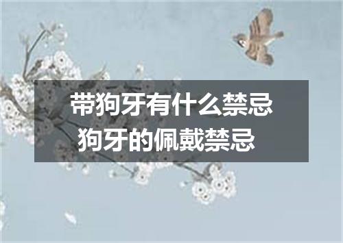 带狗牙有什么禁忌 狗牙的佩戴禁忌