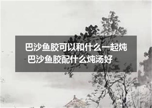 巴沙鱼胶可以和什么一起炖 巴沙鱼胶配什么炖汤好