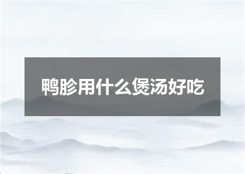 鸭胗用什么煲汤好吃