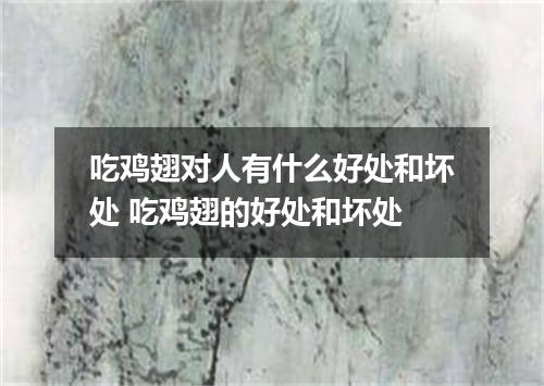 吃鸡翅对人有什么好处和坏处 吃鸡翅的好处和坏处