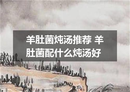 羊肚菌炖汤推荐 羊肚菌配什么炖汤好