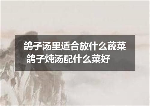 鸽子汤里适合放什么蔬菜 鸽子炖汤配什么菜好