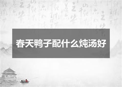 春天鸭子配什么炖汤好
