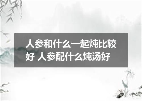 人参和什么一起炖比较好 人参配什么炖汤好