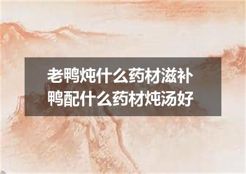 老鸭炖什么药材滋补 鸭配什么药材炖汤好