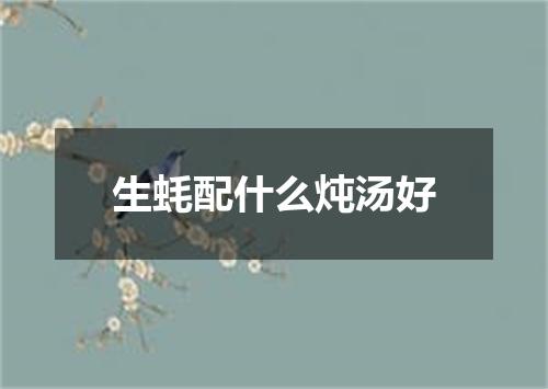 生蚝配什么炖汤好