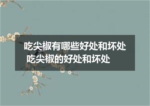 吃尖椒有哪些好处和坏处 吃尖椒的好处和坏处