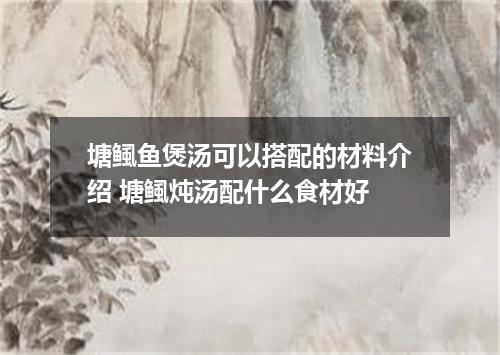 塘鲺鱼煲汤可以搭配的材料介绍 塘鲺炖汤配什么食材好