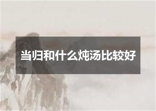 当归和什么炖汤比较好