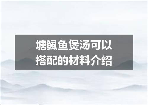 塘鲺鱼煲汤可以搭配的材料介绍