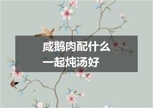 咸鹅肉配什么一起炖汤好