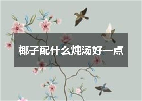 椰子配什么炖汤好一点
