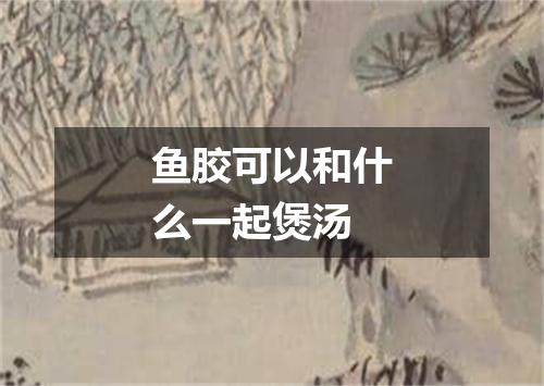 鱼胶可以和什么一起煲汤