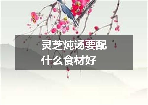 灵芝炖汤要配什么食材好