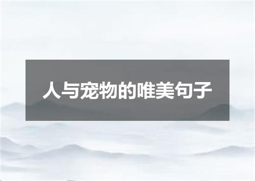 人与宠物的唯美句子