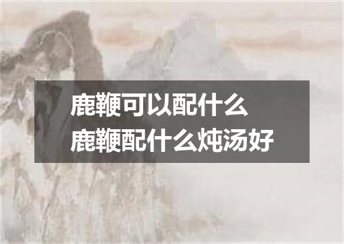 鹿鞭可以配什么 鹿鞭配什么炖汤好