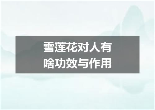 雪莲花对人有啥功效与作用