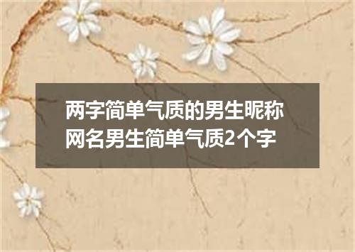 两字简单气质的男生昵称 网名男生简单气质2个字
