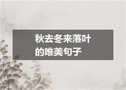 秋去冬来落叶的唯美句子
