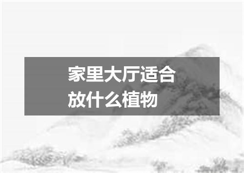 家里大厅适合放什么植物