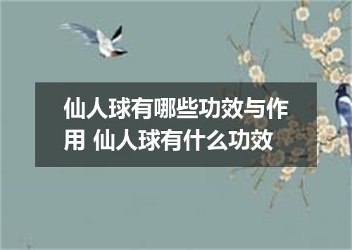 仙人球有哪些功效与作用 仙人球有什么功效