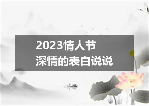 2023情人节深情的表白说说