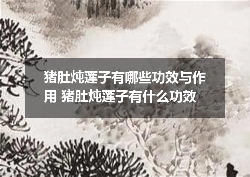 猪肚炖莲子有哪些功效与作用 猪肚炖莲子有什么功效