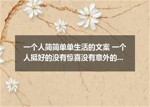 一个人简简单单生活的文案 一个人挺好的没有惊喜没有意外的说说