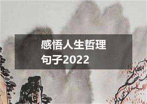 感悟人生哲理句子2022