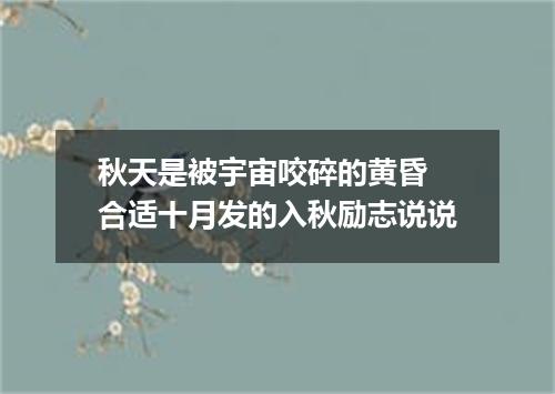 秋天是被宇宙咬碎的黄昏 合适十月发的入秋励志说说