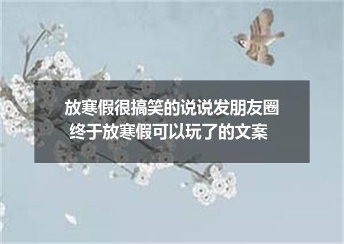 放寒假很搞笑的说说发朋友圈 终于放寒假可以玩了的文案