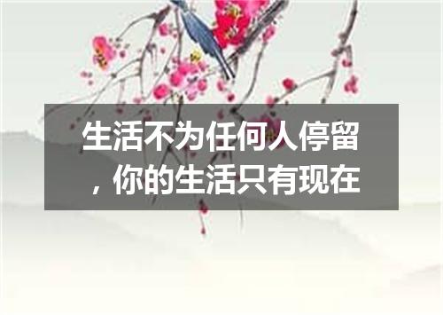 生活不为任何人停留，你的生活只有现在
