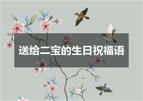 送给二宝的生日祝福语