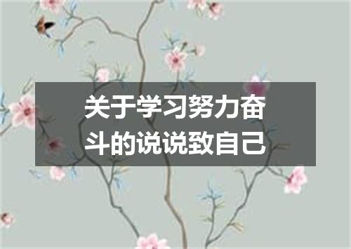 关于学习努力奋斗的说说致自己