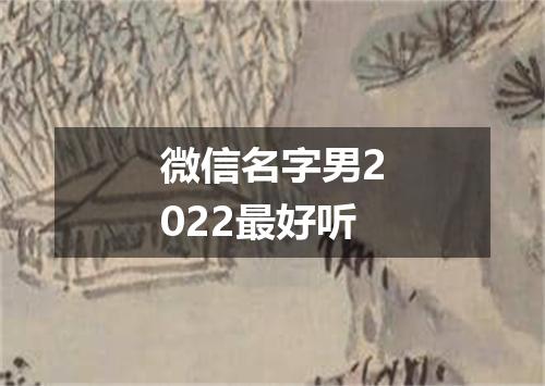 微信名字男2022最好听