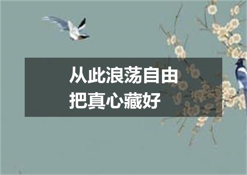 从此浪荡自由把真心藏好
