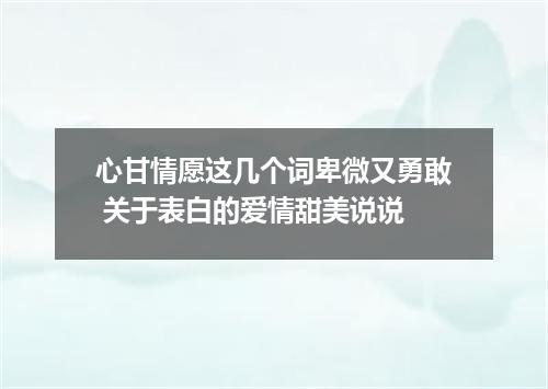 心甘情愿这几个词卑微又勇敢 关于表白的爱情甜美说说