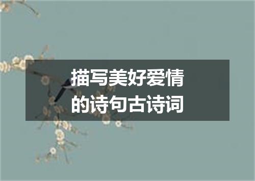 描写美好爱情的诗句古诗词