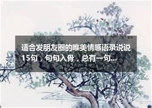 适合发朋友圈的唯美情感语录说说15句，句句入骨，总有一句能够打