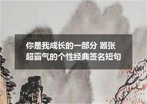 你是我成长的一部分 嚣张超霸气的个性经典签名短句