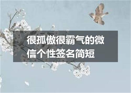 很孤傲很霸气的微信个性签名简短