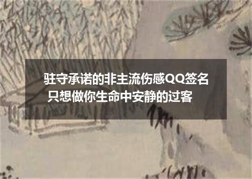 驻守承诺的非主流伤感QQ签名 只想做你生命中安静的过客