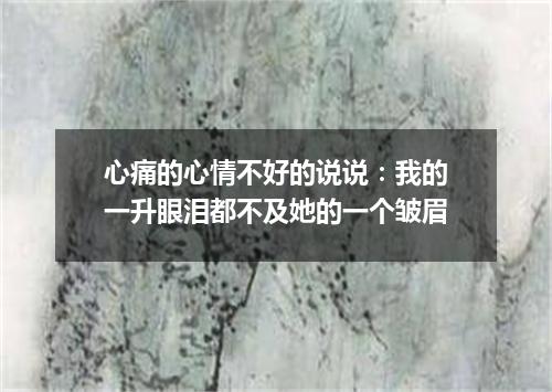心痛的心情不好的说说：我的一升眼泪都不及她的一个皱眉