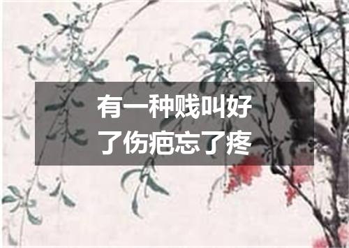 有一种贱叫好了伤疤忘了疼