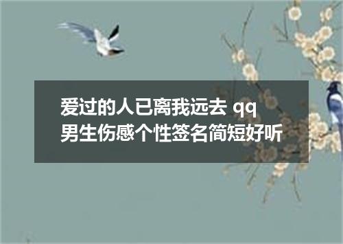 爱过的人已离我远去 qq男生伤感个性签名简短好听