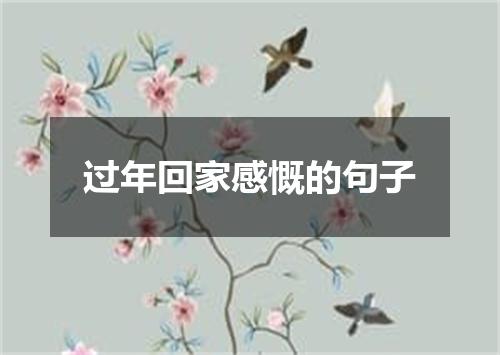 过年回家感慨的句子