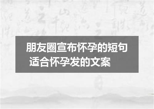 朋友圈宣布怀孕的短句 适合怀孕发的文案