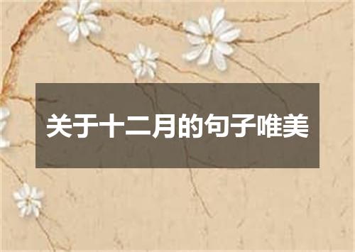 关于十二月的句子唯美